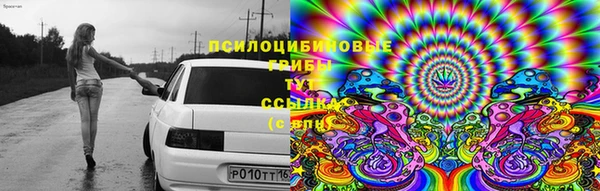 мдпв Алексин