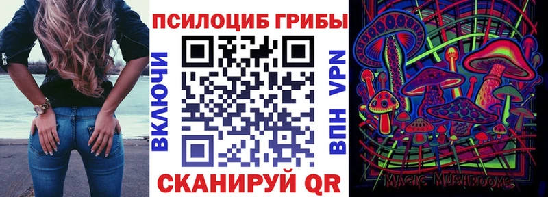 Псилоцибиновые грибы мухоморы  KRAKEN зеркало  Новосиль 